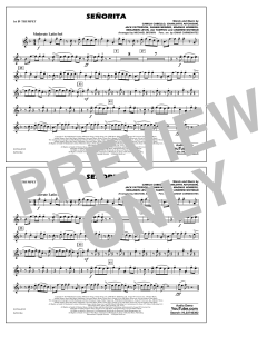 Senorita von Shawn Mendes (Download) 