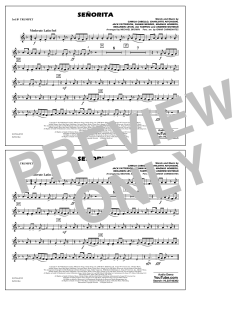 Senorita von Shawn Mendes (Download) 