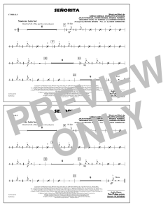 Senorita von Shawn Mendes (Download) 