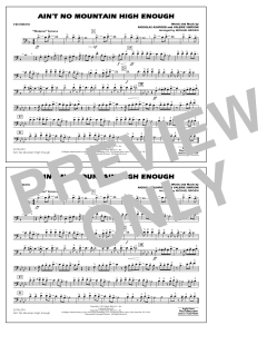 Ain't No Mountain High Enough von Tammi Terrell (Download) 