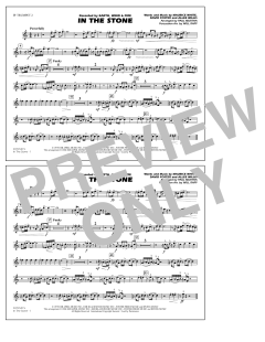 In The Stone (Download) 