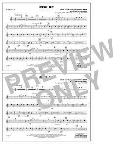 Rise Up von Andra Day (Download) 