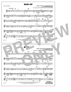 Rise Up von Andra Day (Download) 