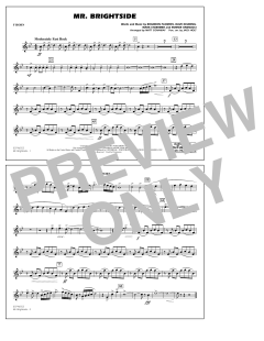 Mr. Brightside (Download) 