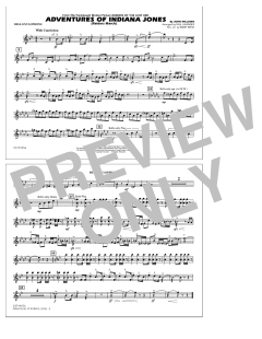 Adventures of Indiana Jones von John Williams (Download) 