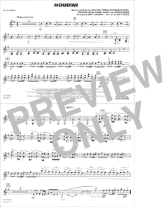 Houdini von Dua Lipa (Download) 