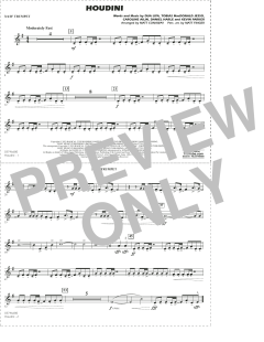 Houdini von Dua Lipa (Download) 