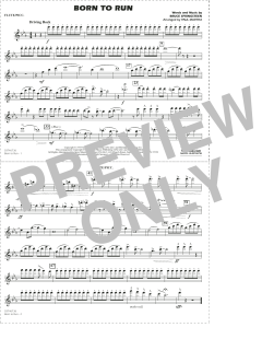 Born to Run von Bruce Springsteen (Download) 