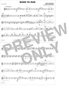 Born to Run von Bruce Springsteen (Download) 