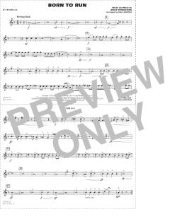 Born to Run von Bruce Springsteen (Download) 