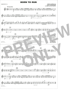 Born to Run von Bruce Springsteen (Download) 