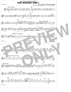 The Wizard and I von Stephen Schwartz (Download) 