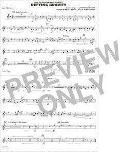 Defying Gravity von Stephen Schwartz (Download) 