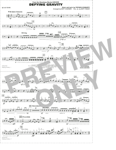 Defying Gravity von Stephen Schwartz (Download) 