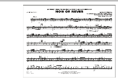 Now Or Never von Matthew Gerrard (Download) 