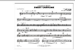 Sweet Caroline von Neil Diamond (Download) 