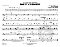 Sweet Caroline von Neil Diamond 
