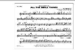 All The Small Things (Download) 