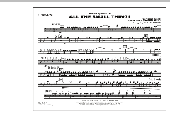 All The Small Things (Download) 