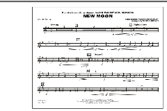 New Moon (The Meadow) von Alexandre Desplat (Download) 