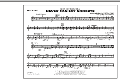 Never Can Say Goodbye von The Jackson 5 (Download) 