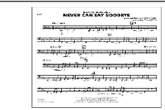 Never Can Say Goodbye von The Jackson 5 (Download) 