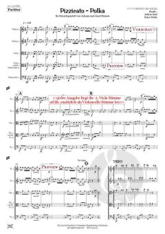 Pizzicato Polka op. 234 von Josef Strauss 