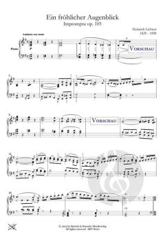 Ein fröhlicher Augenblick, Impromptu op. 105 von Heinrich Lichner 