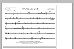 Wake Me Up! von Avicii (Download) 