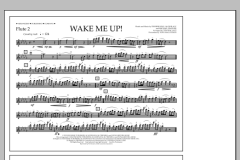 Wake Me Up! von Avicii (Download) 