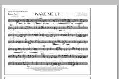 Wake Me Up! von Avicii (Download) 