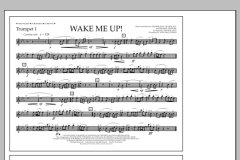 Wake Me Up! von Avicii (Download) 