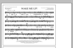 Wake Me Up! von Avicii (Download) 