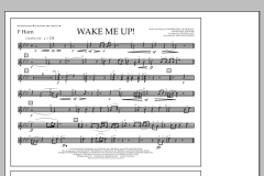 Wake Me Up! von Avicii (Download) 