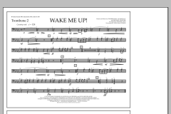Wake Me Up! von Avicii (Download) 