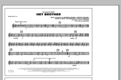 Hey Brother von Avicii (Download) 
