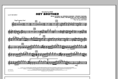 Hey Brother von Avicii (Download) 