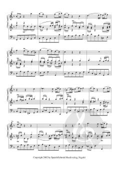 Brandenburgisches Konzert Nr. 2 F-Dur BWV 1047 von Johann Sebastian Bach 