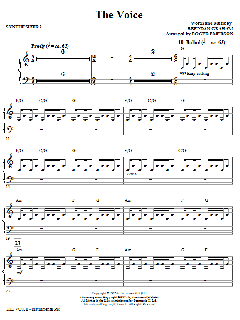 The Voice von Brendan Graham (Download) 