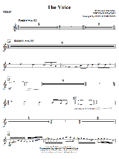 The Voice von Brendan Graham (Download) 