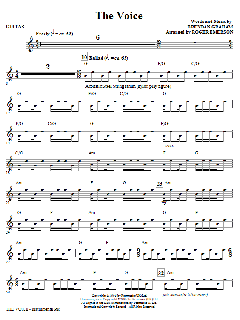 The Voice von Brendan Graham (Download) 