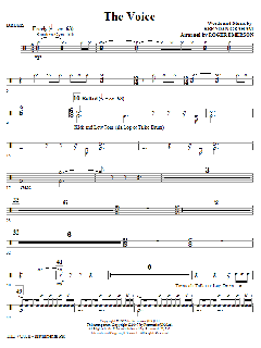 The Voice von Brendan Graham (Download) 