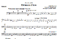 Orinoco Flow von Enya (Download) 