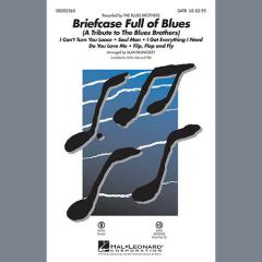 Briefcase Full Of Blues von The Blues Brothers (Download) 