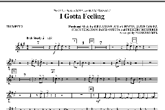 I Gotta Feeling von Black Eyed Peas (Download) 