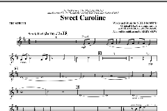 Sweet Caroline von Neil Diamond (Download) 
