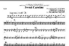 Sweet Caroline von Neil Diamond (Download) 