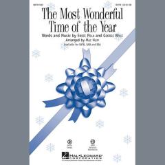 The Most Wonderful Time Of The Year von Andy Williams (Download) 