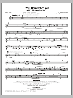 I Will Remember You von Whitney Houston (Download) 