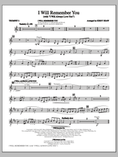 I Will Remember You von Whitney Houston (Download) 